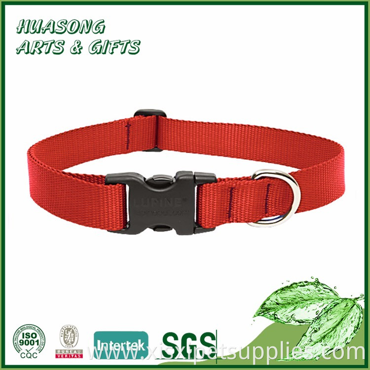 Hot Selling Personalized Sublimation Blank Pet Collar Dog Collar